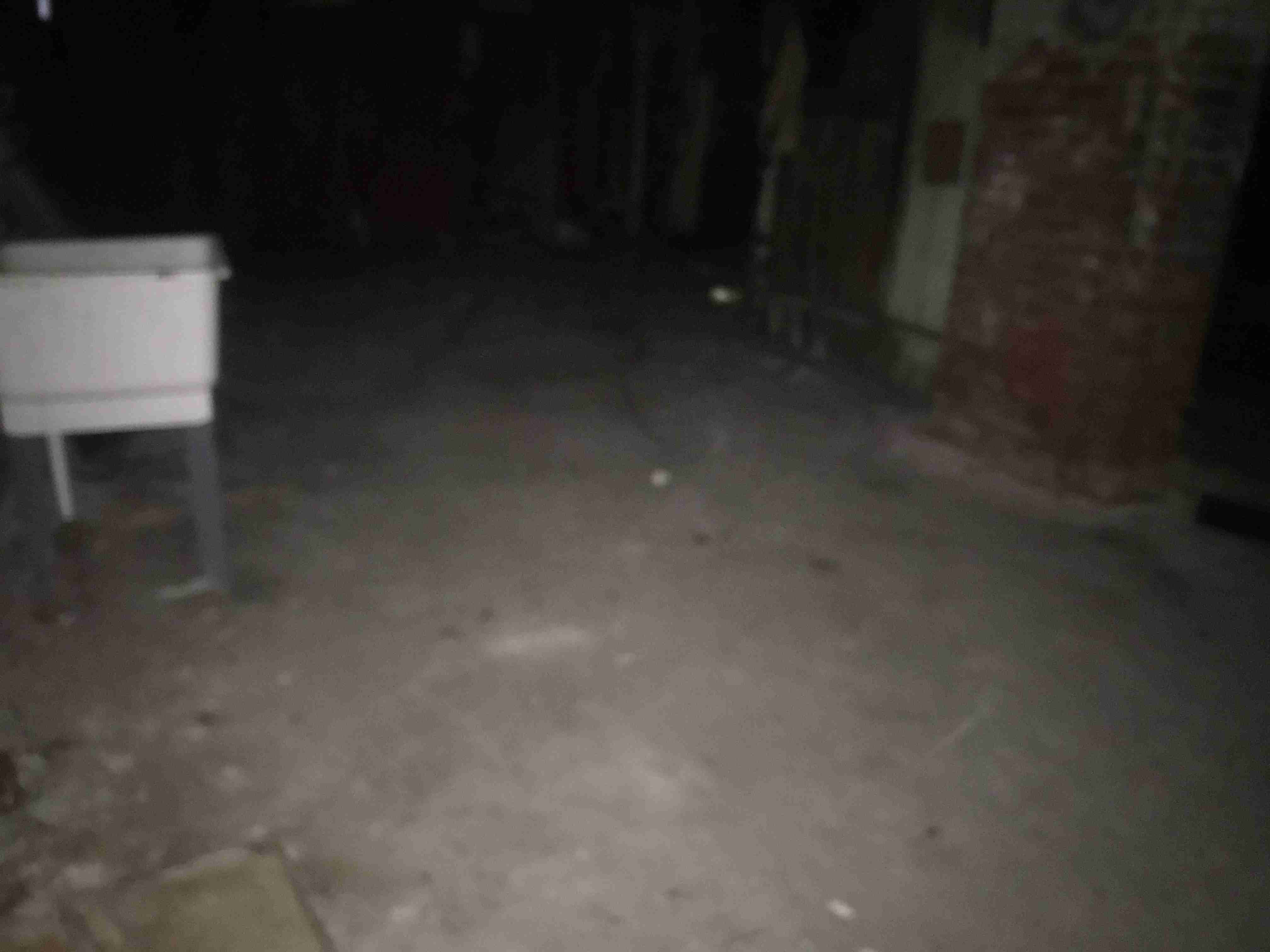 Photo Nov 04, 5 11 48 PM.jpg